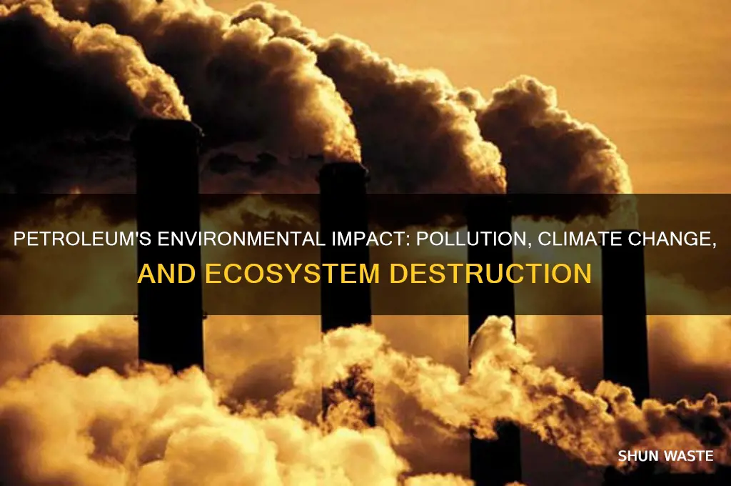 how petroleum affect the environment