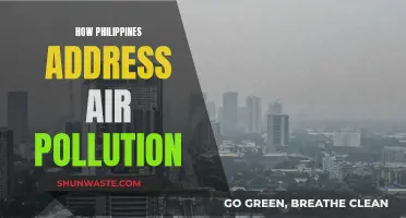 Philippines' Fight Against Air Pollution: Strategies and Solutions
