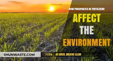 Phosphates in Fertilizers: Environmental Impacts and Sustainable Solutions