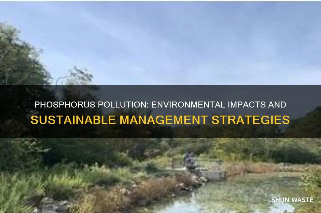 how phosphorus affects environment