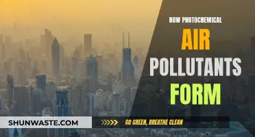 Unveiling the Mystery of Photochemical Air Pollutants Formation