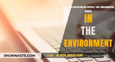 Photosynthesis' Role in Reducing Greenhouse Gases and Climate Change