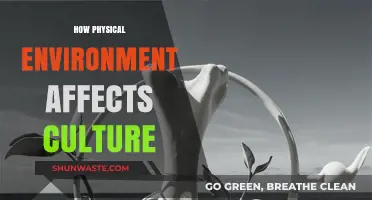Shaping Traditions: The Impact of Physical Environment on Cultural Evolution