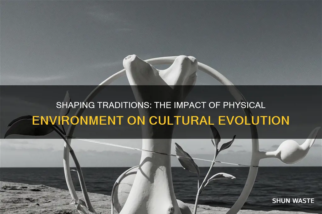 how physical environment affects culture