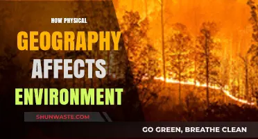How Physical Geography Shapes Our Environment and Ecosystems