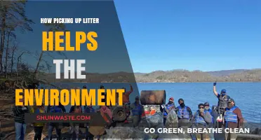 Small Acts, Big Impact: How Litter Cleanup Saves Our Environment