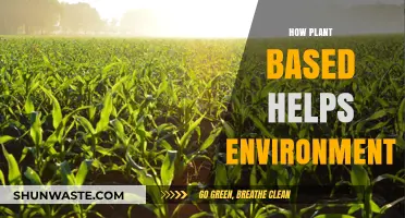 Plant-Based Diets: A Sustainable Solution for Environmental Conservation