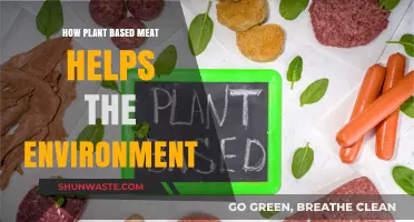 Plant-Based Meat: A Sustainable Solution for Environmental Conservation