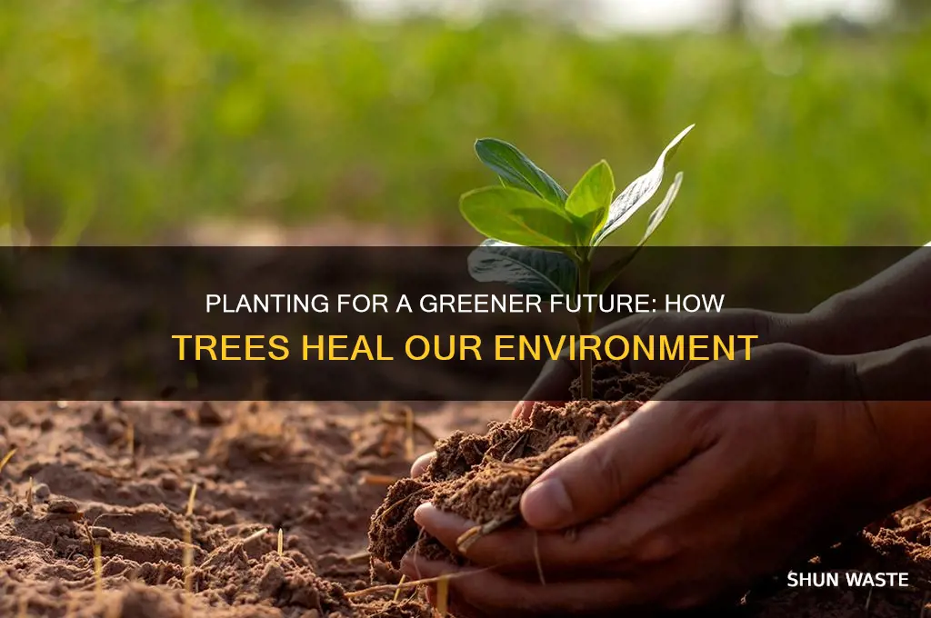 how planting can help the environement