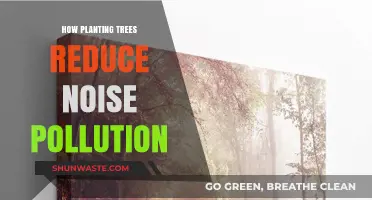 Planting Trees: A Natural Way to Reduce Noise Pollution