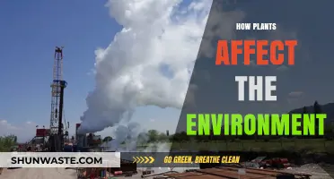 Green Guardians: How Plants Shape and Sustain Our Environment