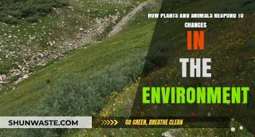Adapting to Change: How Plants and Animals Respond to Environmental Shifts