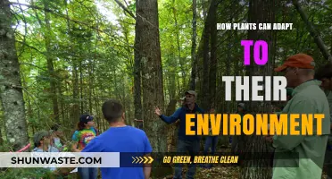 Plant Survival Strategies: Adapting to Diverse Environmental Conditions