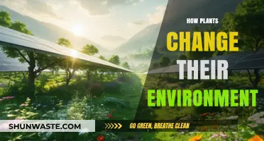 How Plants Transform Their Surroundings: Unveiling Nature's Silent Revolution