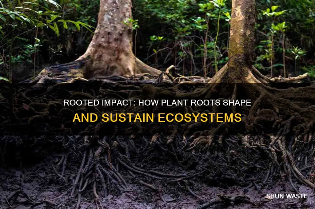 how plants roots affect the environment