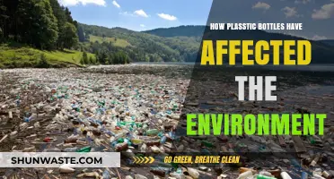 Plastic Bottles' Devastating Impact on Our Environment: A Growing Crisis