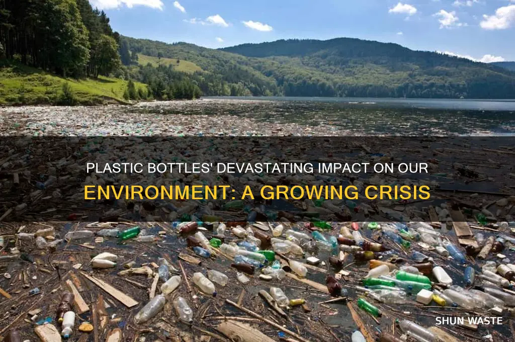 how plasstic bottles have affected the environment