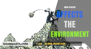 Plastic's Environmental Impact: Pollution, Wildlife Threats, and Ecosystem Destruction