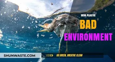 Plastic's Devastating Impact: How It Harms Our Environment and Planet