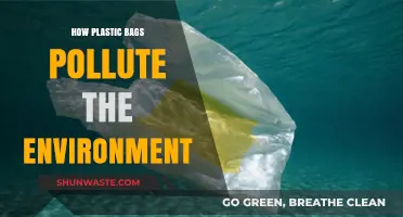 Plastic Bags: Environmental Pollutants and Their Harmful Impact