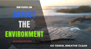 Plastic's Environmental Impact: Pollution, Wildlife Threats, and Ecosystem Destruction
