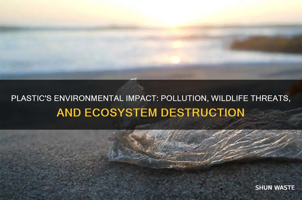 how plastic can affect the environment