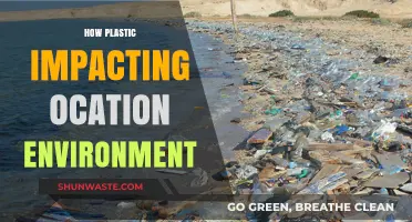 Plastic Pollution: Devastating Effects on Our Ocean's Fragile Ecosystem