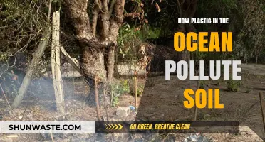 Ocean Plastics: Soil Pollution's Hidden Threat