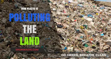 Plastic Pollution: Land's Toxic Legacy