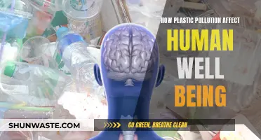 Plastic Pollution: Harming Human Health and Well-being