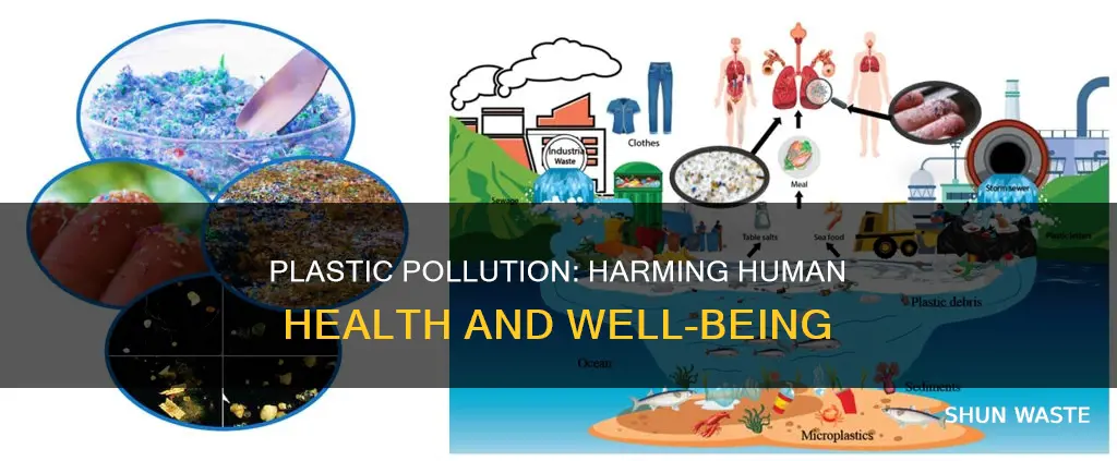 how plastic pollution affect human well being