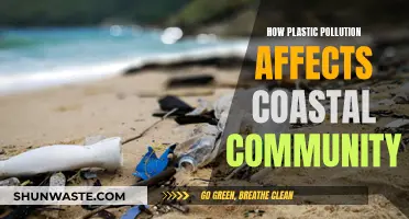 Plastic Pollution: Coastal Communities' Plight and Fight