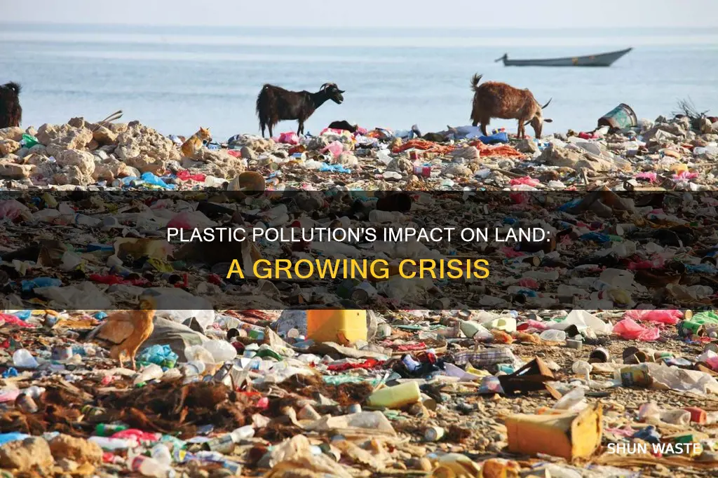 how plastic pollution affects land