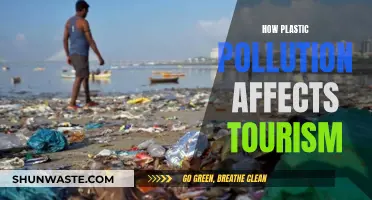 Plastic Pollution's Impact on Tourism Destinations