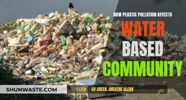 Plastic Pollution: Water Communities at Risk