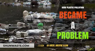 Plastic Pollution: A Problem of Human Making