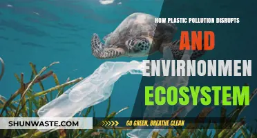 Plastic Pollution: A Deadly Disruption to Nature's Balance