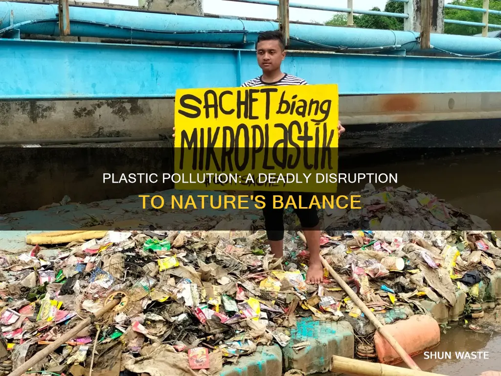 how plastic pollution disrupts and envirnonments ecosystem