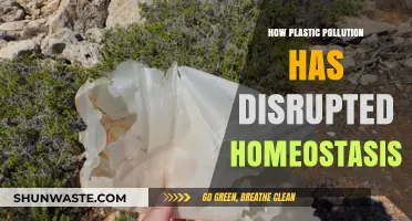 Plastic Pollution: Disrupting the Balance of Nature