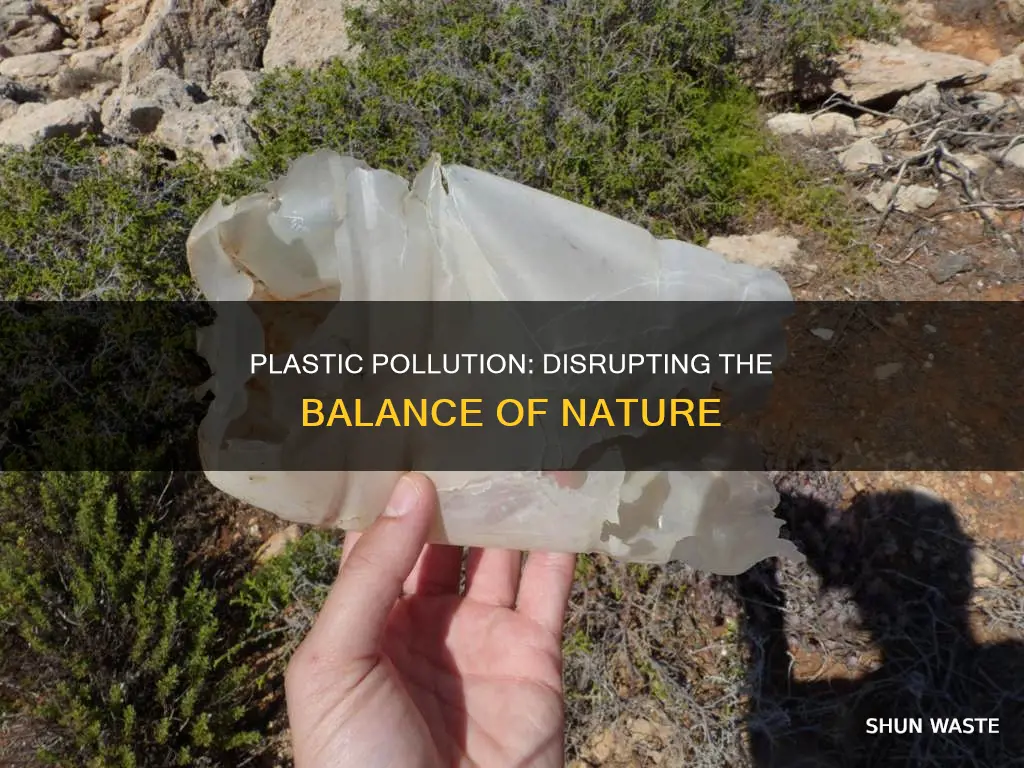 how plastic pollution has disrupted homeostasis