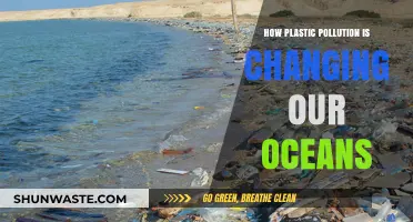 Plastic Pollution's Impact on Our Oceans