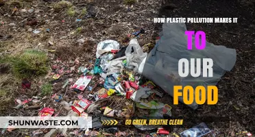 Plastic Pollution: From Ocean to Table