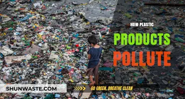 Plastic Products: A Polluting Plague