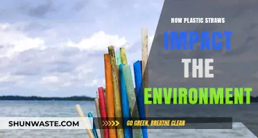 Plastic Straws' Hidden Toll: Environmental Impact and Sustainable Alternatives