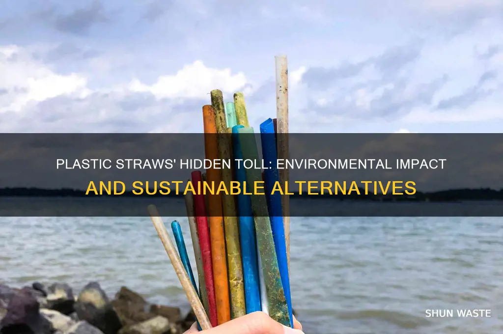 how plastic straws impact the environment