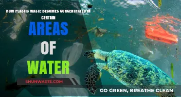 Ocean Currents and Plastic Waste: Understanding Concentration Hotspots