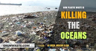 Plastic's Deadly Tide: How Ocean Life Suffers from Our Waste