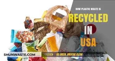 Recycling Plastic Waste in the USA: Processes, Challenges, and Solutions