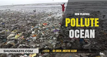 Plastic Pollution: Ocean's Perilous Plight