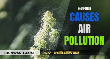 Pollen's Impact: Air Pollution and Health Hazards